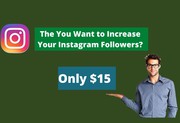  Increase Organic Instagram Followers and Post Engagement